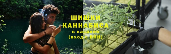 индика Балабаново