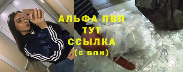 индика Балабаново