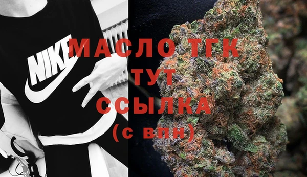 индика Балабаново