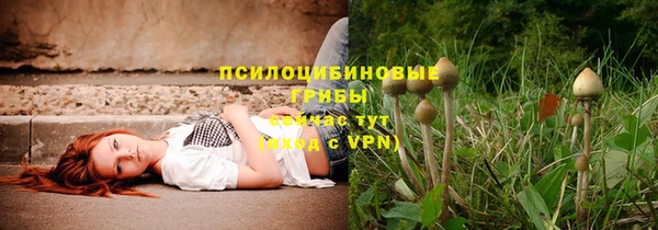 дживик Балахна