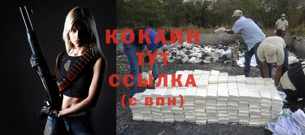 индика Балабаново