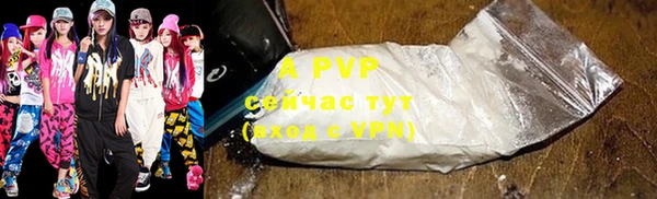 индика Балабаново