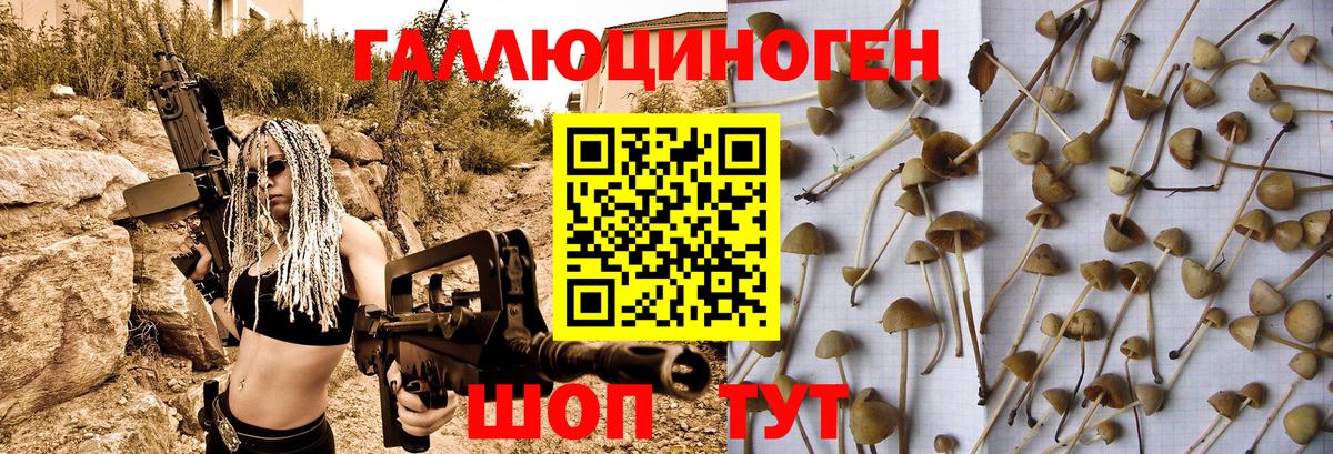 Губкинский  Псилоцибиновые грибы MAGIC MUSHROOMS  Вход с VPN 
