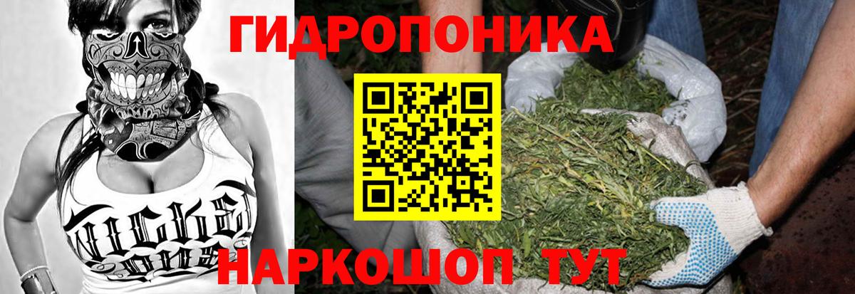 Каннабис White Widow Губкинский